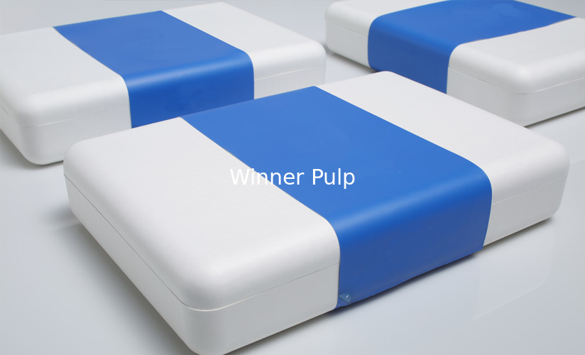 Smooth Rigid Molded Pulp Box Sustainable Packaging Thermoformed