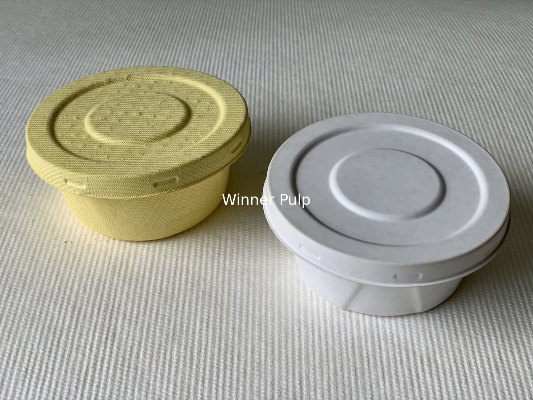 OEM Biodegradable Tray Molded Pulp Bottle Shippers Negative Angle Lid